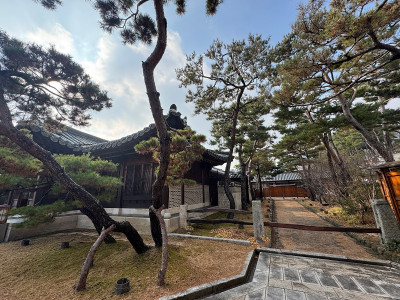 한옥 건물 유리창 청소